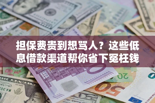 济南担保费贵到想骂人？这些低息借款渠道帮你省下冤枉钱