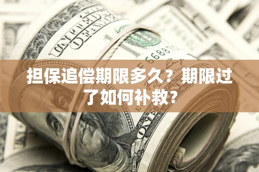 济南担保追偿期限多久？期限过了如何补救？